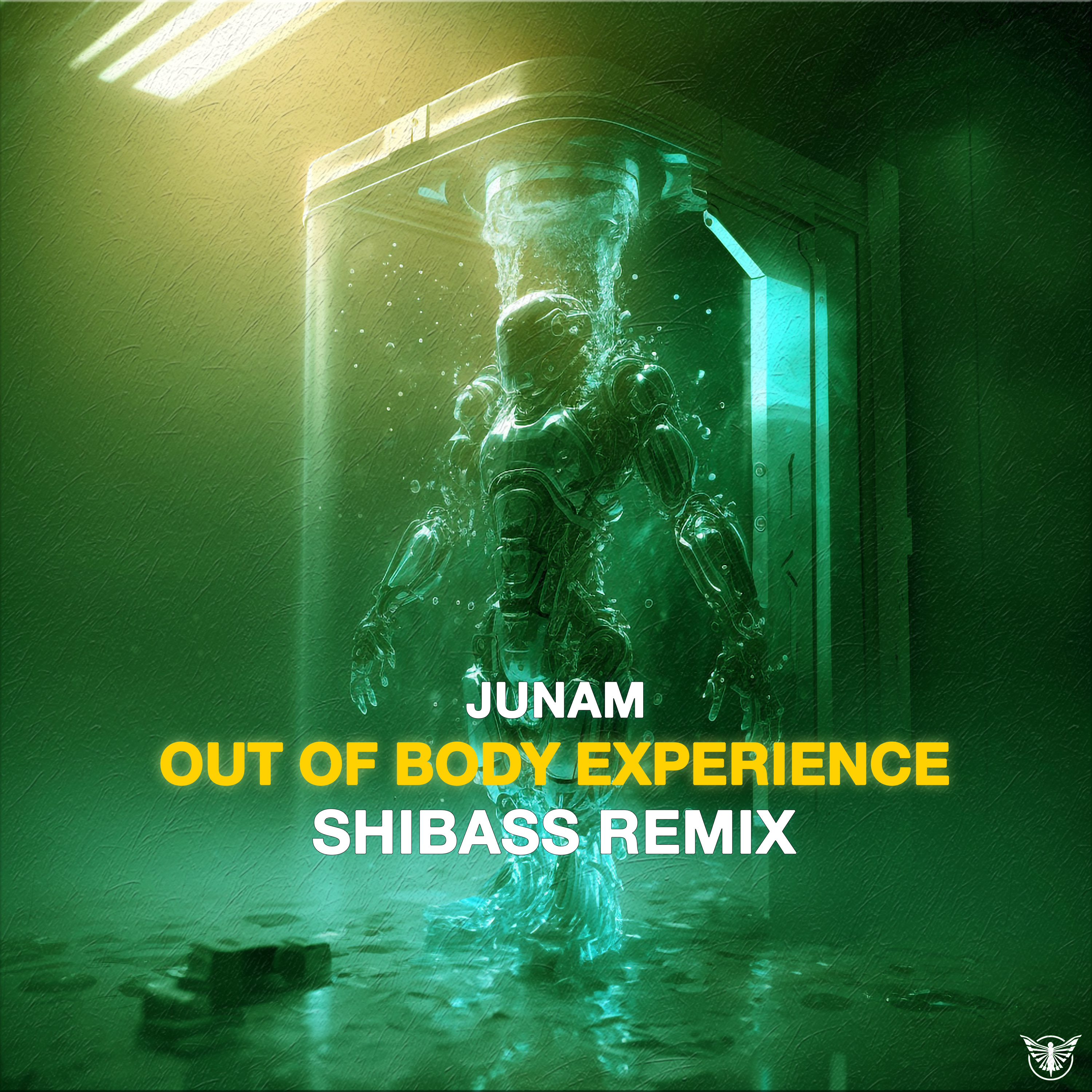 Junam Out of Body Experience ShiBass Remix cover